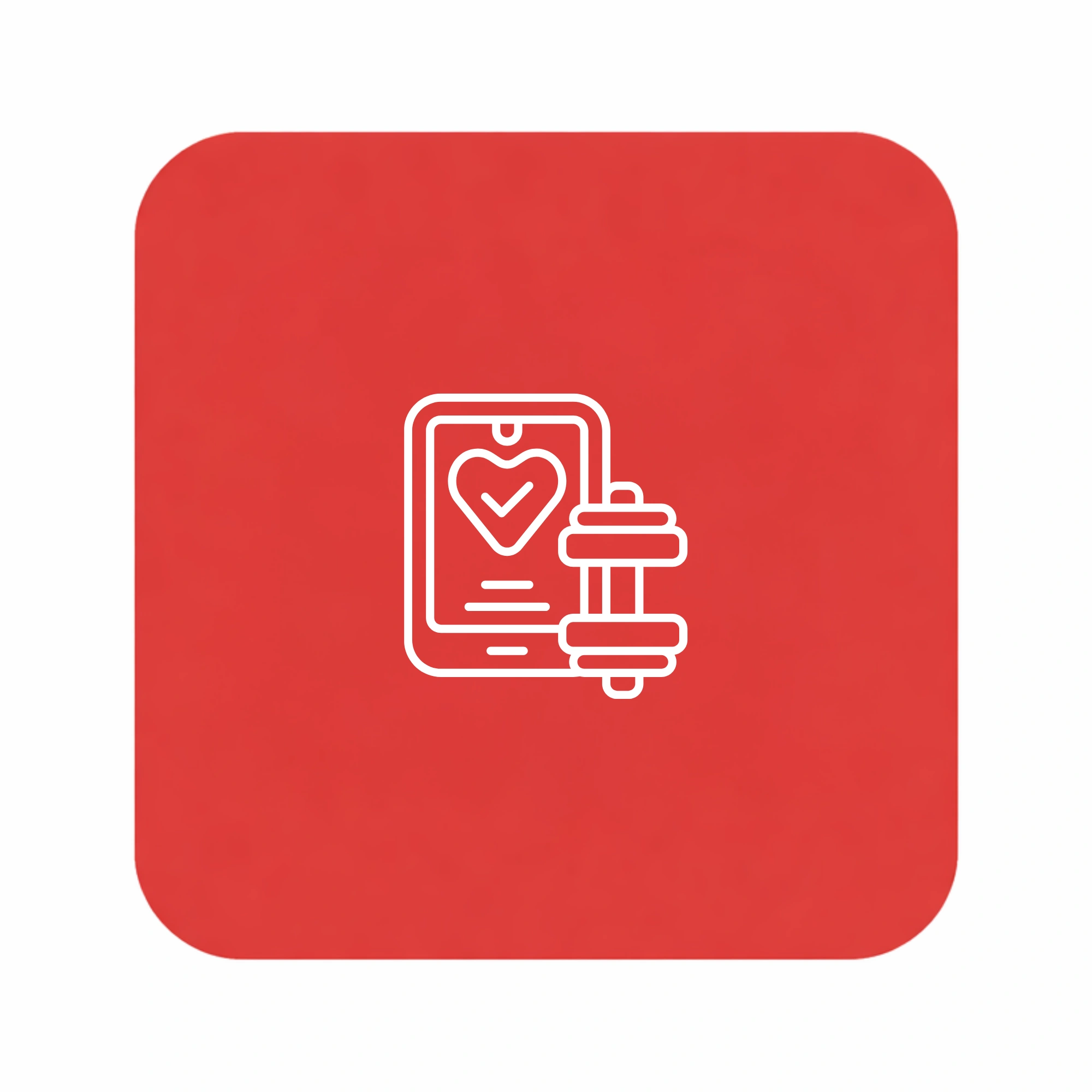icon – plan icon - plan